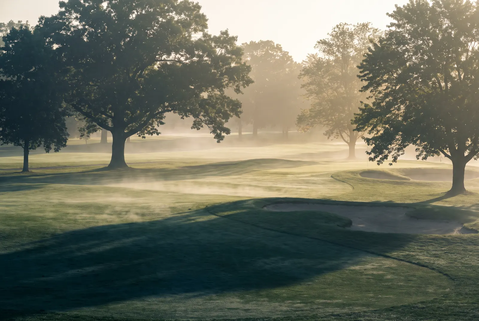 Misty early morning view of rolling green fairways framed by mature trees