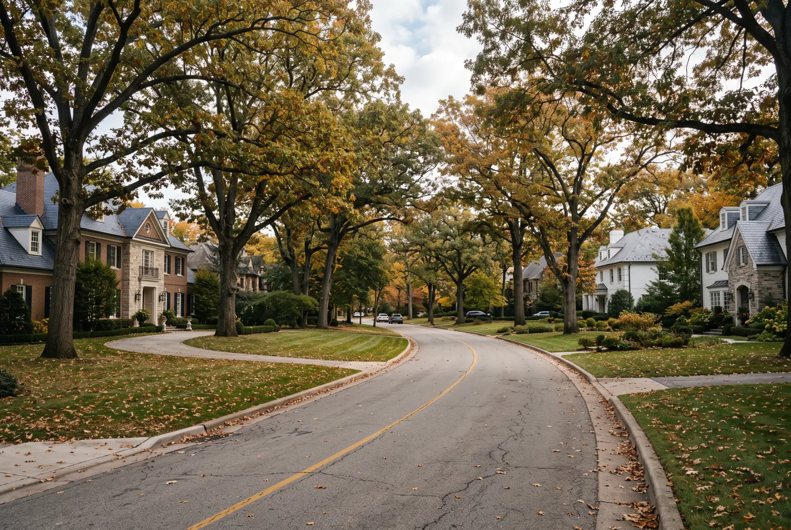 Curving tree-lined suburban road with wide lawns and homes set back among tall oaks