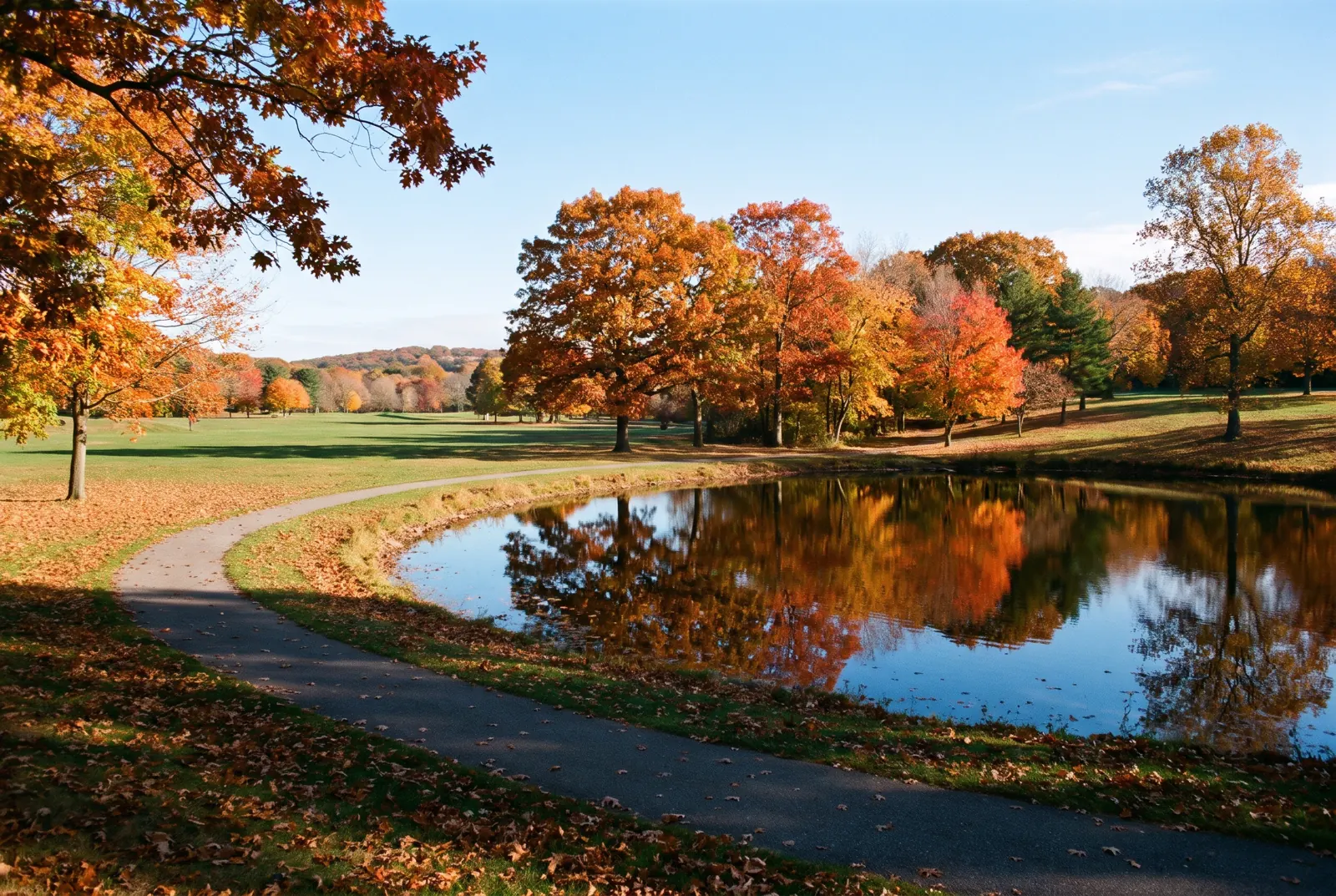 A paved path curving past a pond and autumn trees in a large suburban park