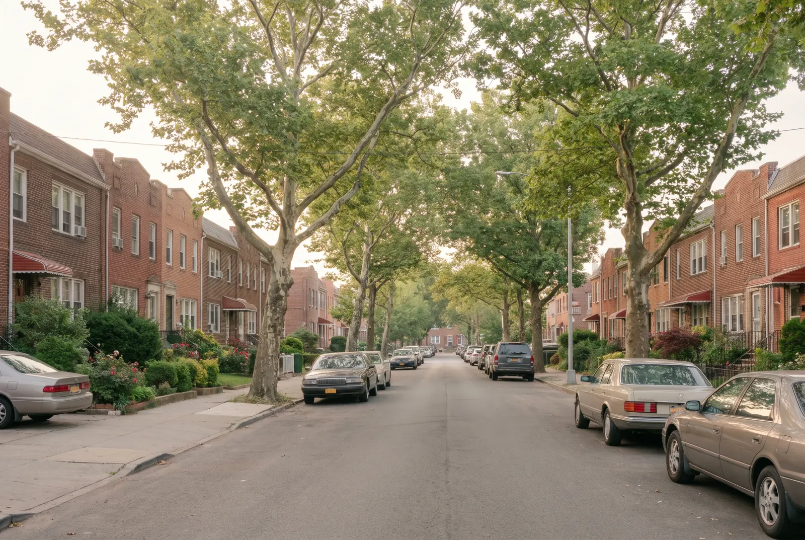 A tree-lined residential street with brick houses in soft morning light