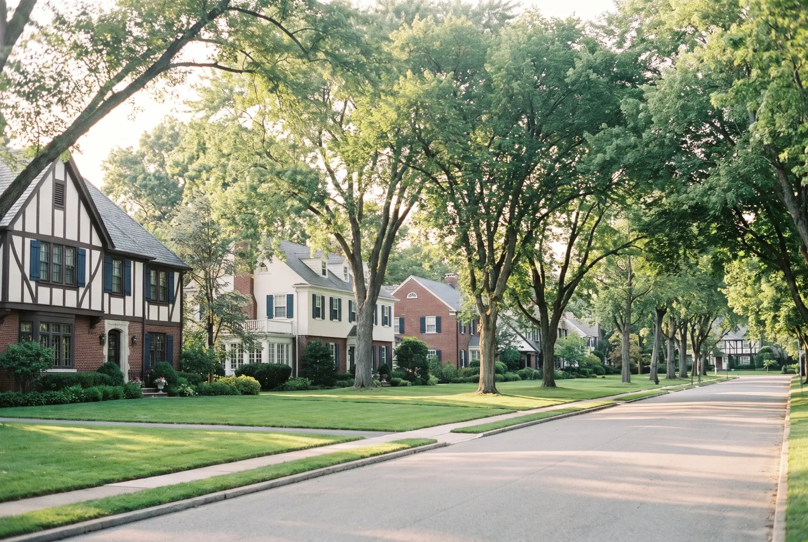 Wide residential avenue with Tudor and colonial homes under a canopy of large trees