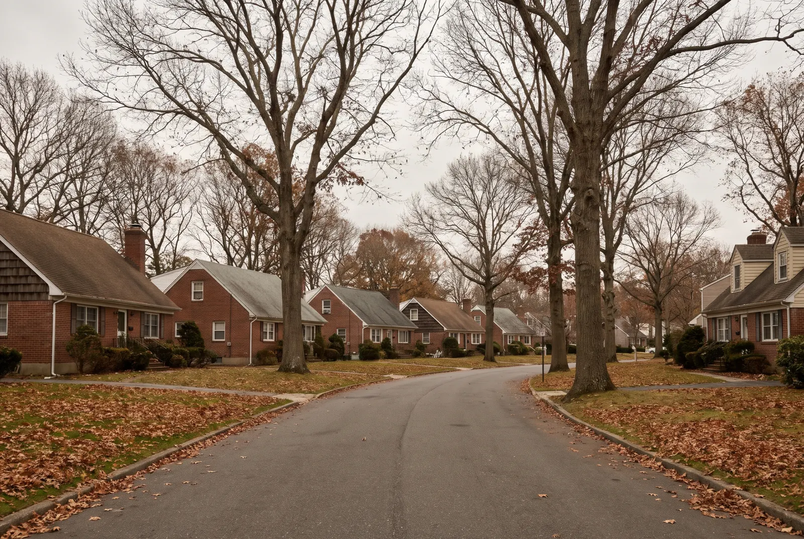 Curving suburban street with high ranch houses and oak trees in autumn