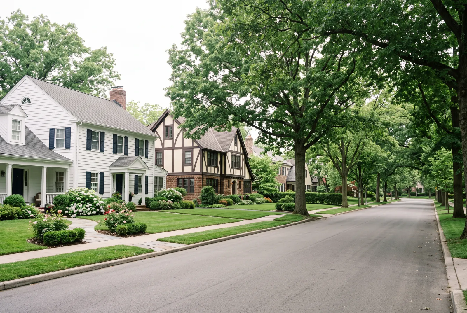 Colonial and Tudor-style houses under tall oak trees on a residential street