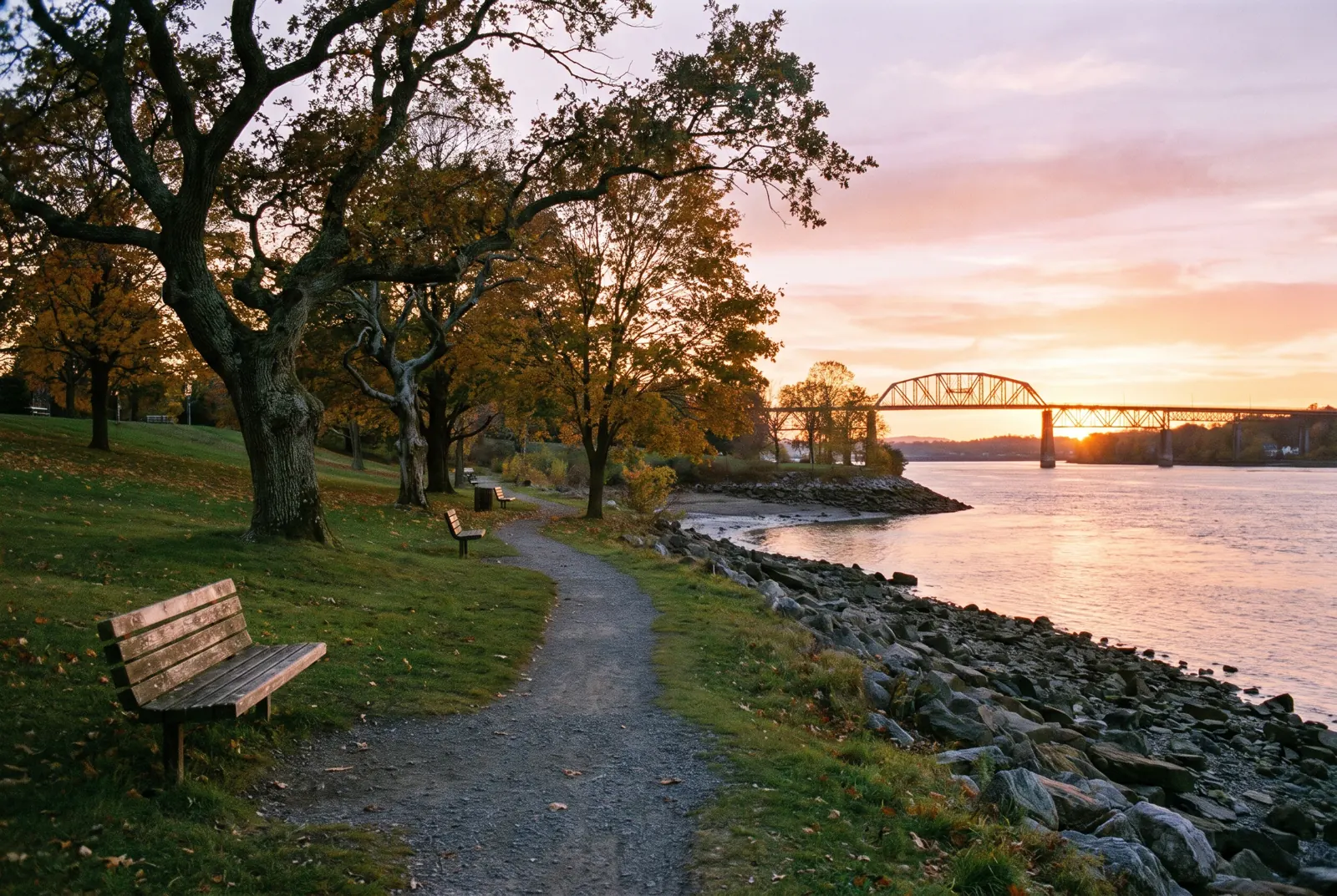 A grassy waterfront park with old trees sloping toward a river at sunset, with a bridge in the distance