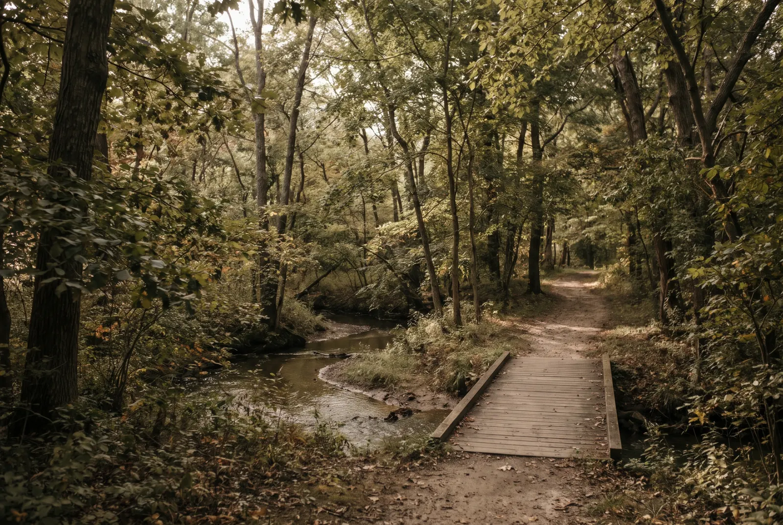 A small wooden footbridge over a stream in a shaded wooded park