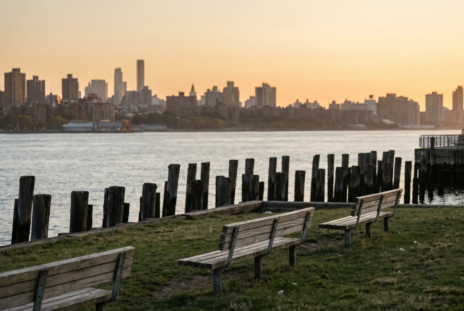 Waterfront park lawn with old pier pilings and a city skyline across the river in late-afternoon light.